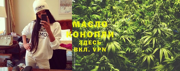 индика Лагань