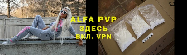 индика Лагань