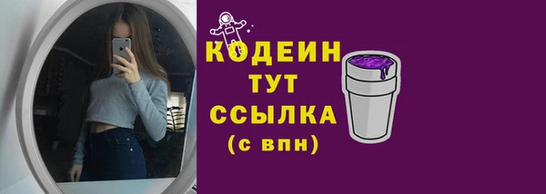 соль ск Лабытнанги