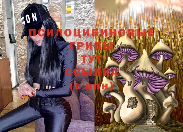 соль ск Лабытнанги