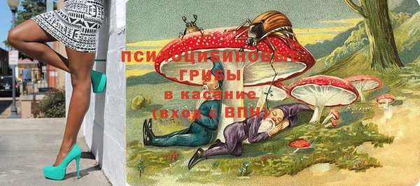 соль ск Лабытнанги