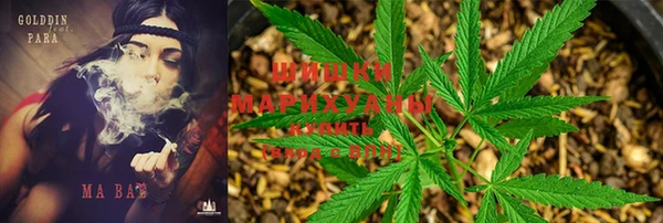 индика Лагань