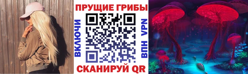 Купить  Сосновоборск  Галлюциногенные грибы GOLDEN TEACHER 