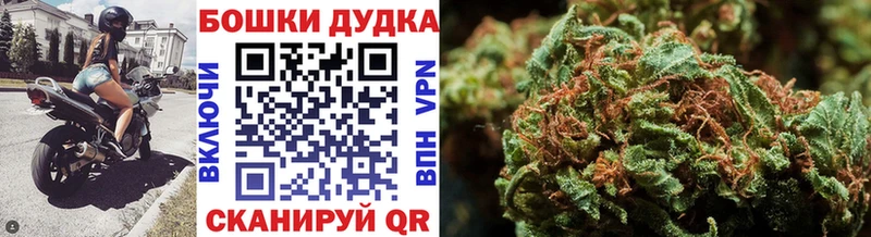 Бошки Шишки SATIVA & INDICA  Купить  Сосновоборск 